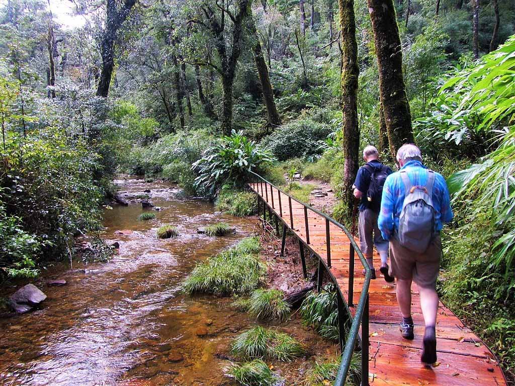 Fansipan Hiking